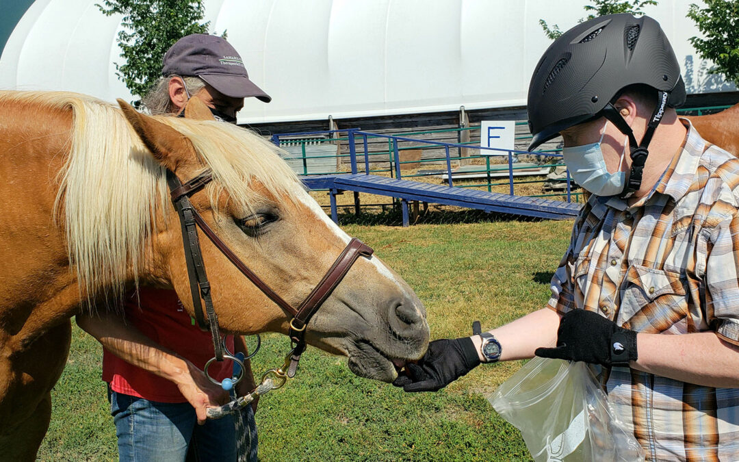 ConnectWell Therapeutic Riding Program Donation Form