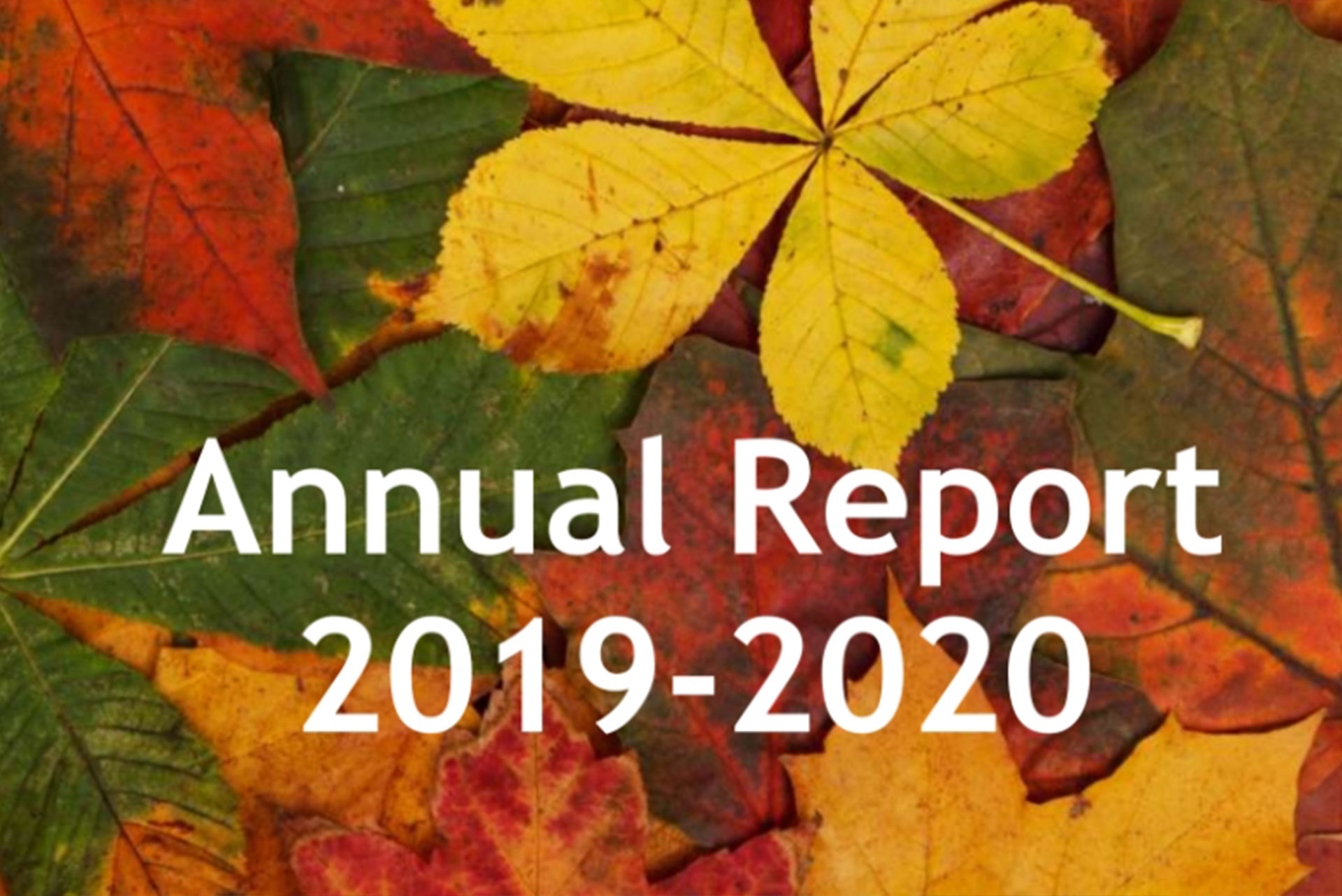 LRHCS Annual Report 2019 2020