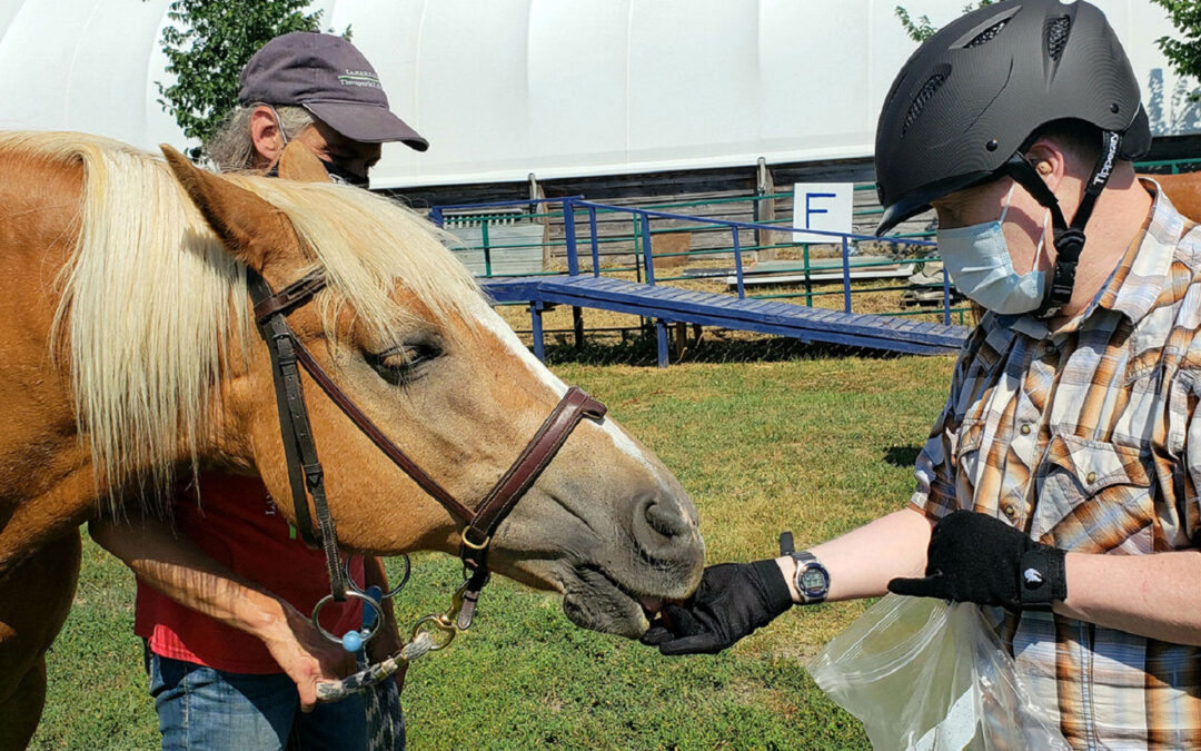 Local Therapeutic Riding program received Ontario Trillium Foundation “Resilient Communities” grant