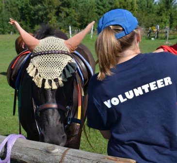 a volunteer with a horse